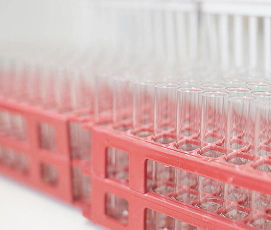 Reagenzgläser in Halterung